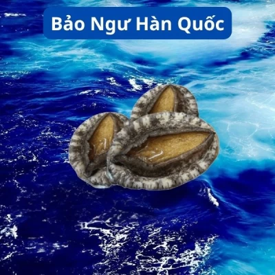Bào Ngư Hàn Quốc