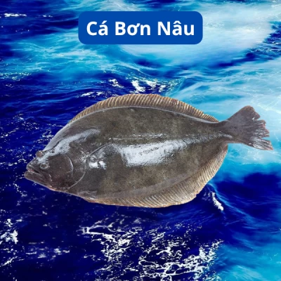 Cá Bơn Nâu