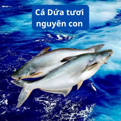 Cá Dứa Tươi Nguyên Con 