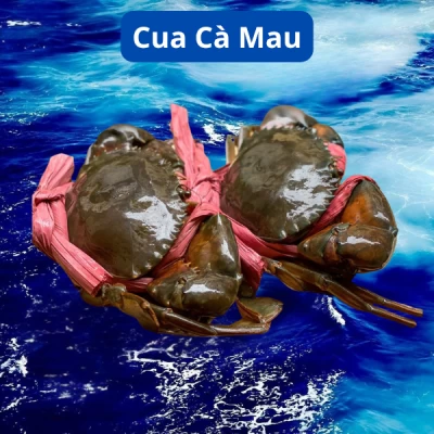 Cua Cà Mau