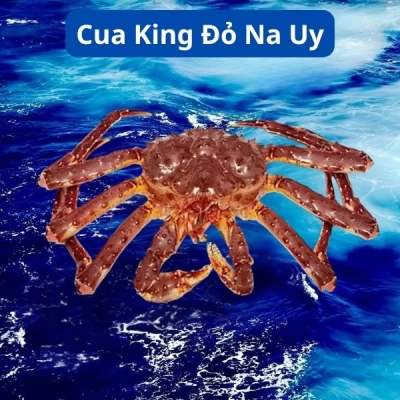 Cua King Đỏ Na Uy