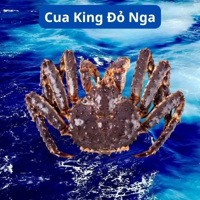 Cua King Đỏ Nga