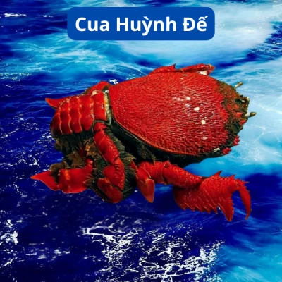 Cua Huỳnh Đế
