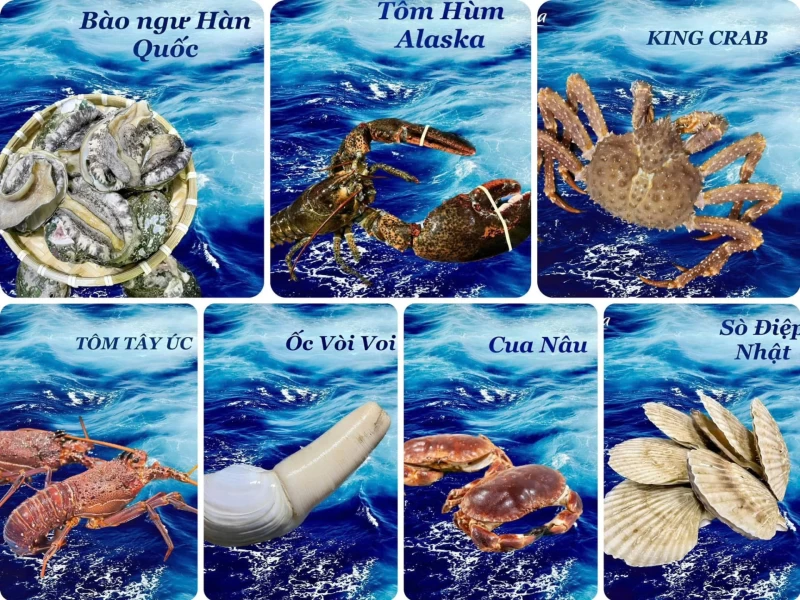 Khám Phá Thế Giới Hải Sản Nhập Khẩu Cao Cấp – Tươi Ngon Và Bổ Dưỡng