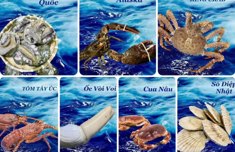 Khám Phá Thế Giới Hải Sản Nhập Khẩu Cao Cấp – Tươi Ngon Và Bổ Dưỡng